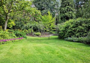 Optimiser l'expérience du jardin à Daubensand