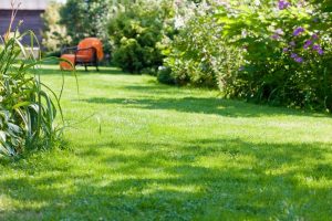 travaux jardin et paysage Daubensand